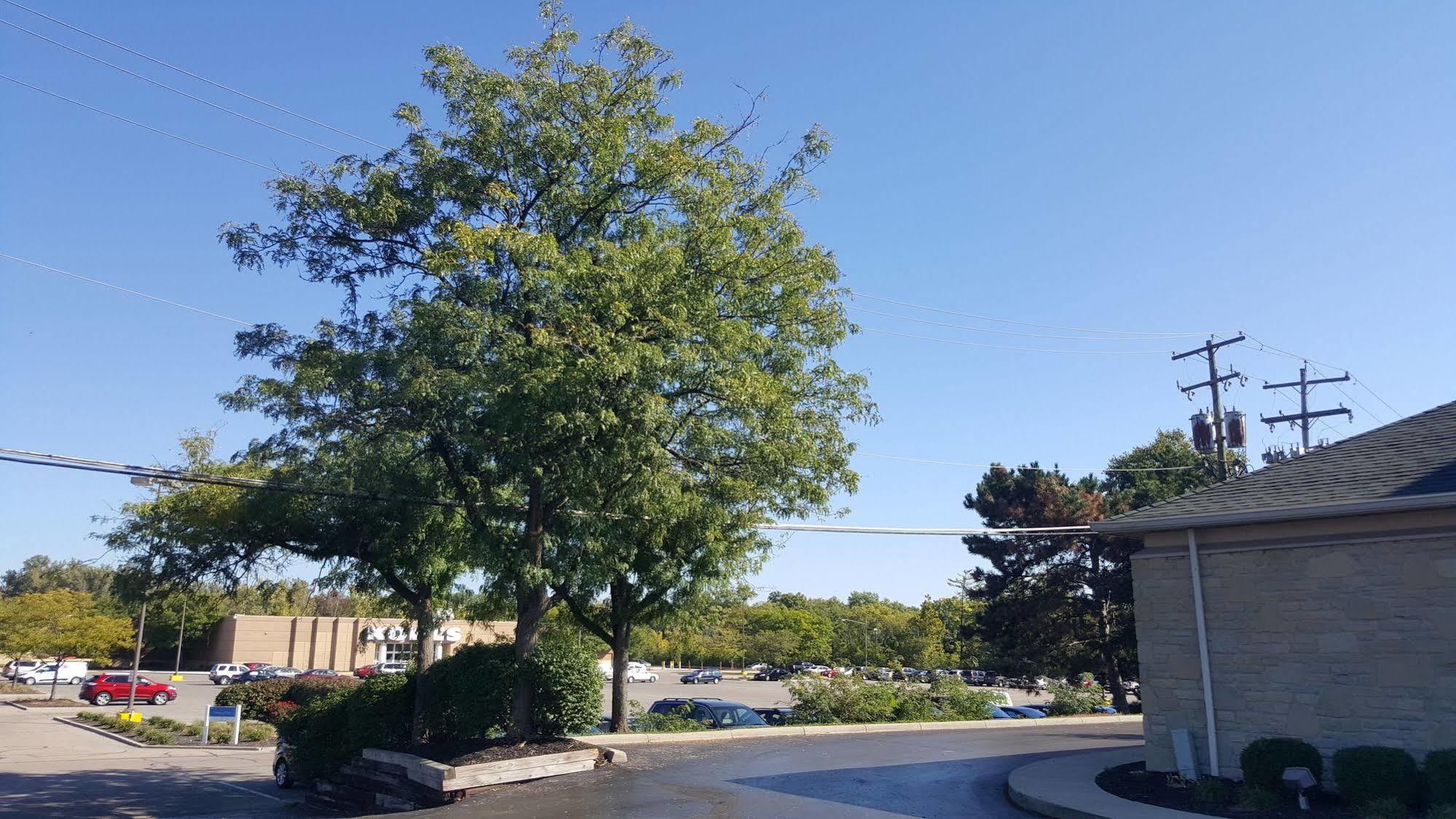Motel 6-Columbus, Oh - Osu Εξωτερικό φωτογραφία